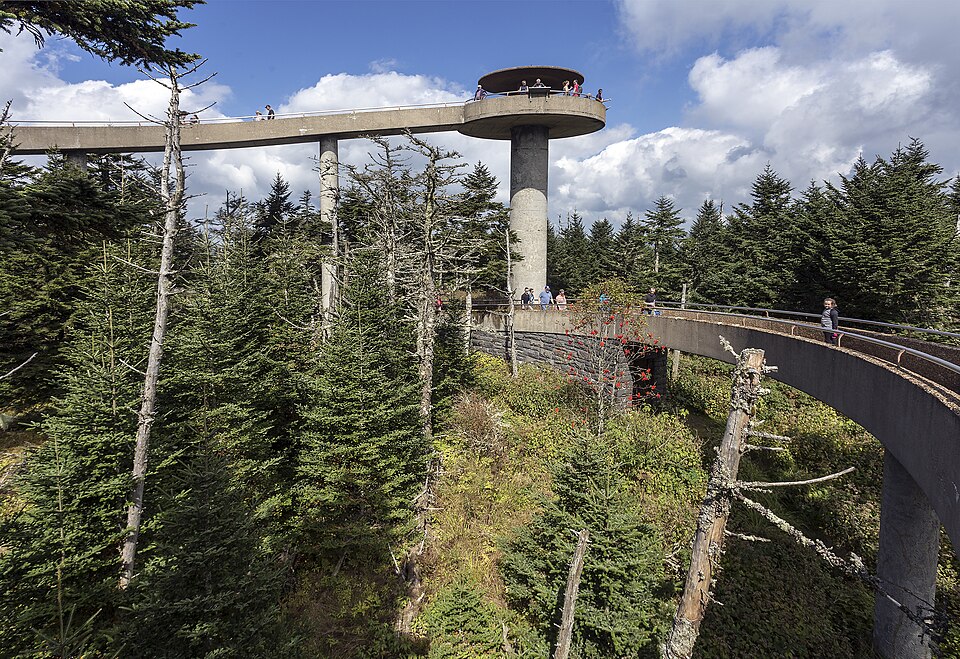 Clingmans Dome