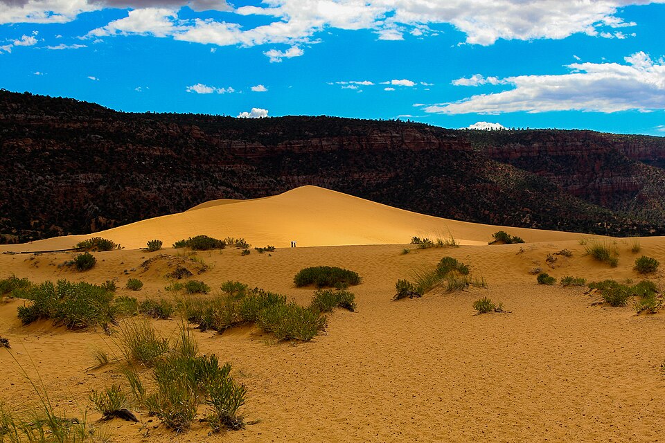 Coral Pink Sand Dunes