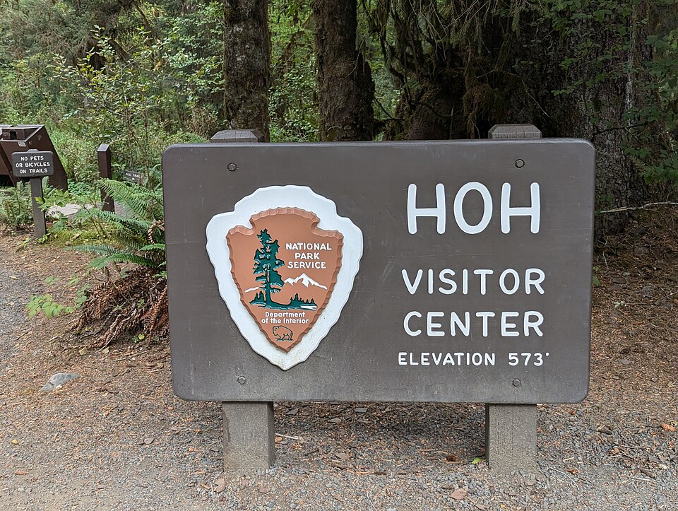 Hoh Rain Forest