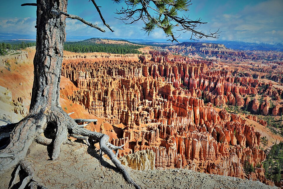 Inspiration Point