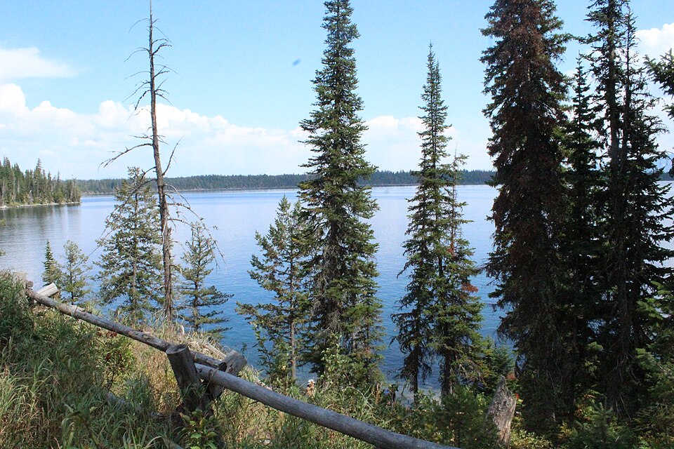 Jenny Lake