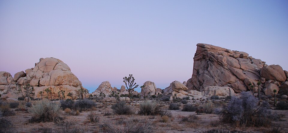 Jumbo Rocks