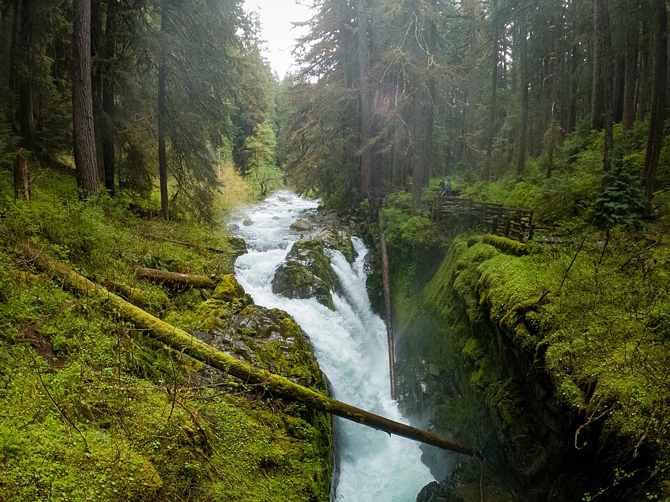 Sol Duc Falls